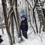 phoca_thumb_m_ledov krlovstv 2 4 Fotogalerie